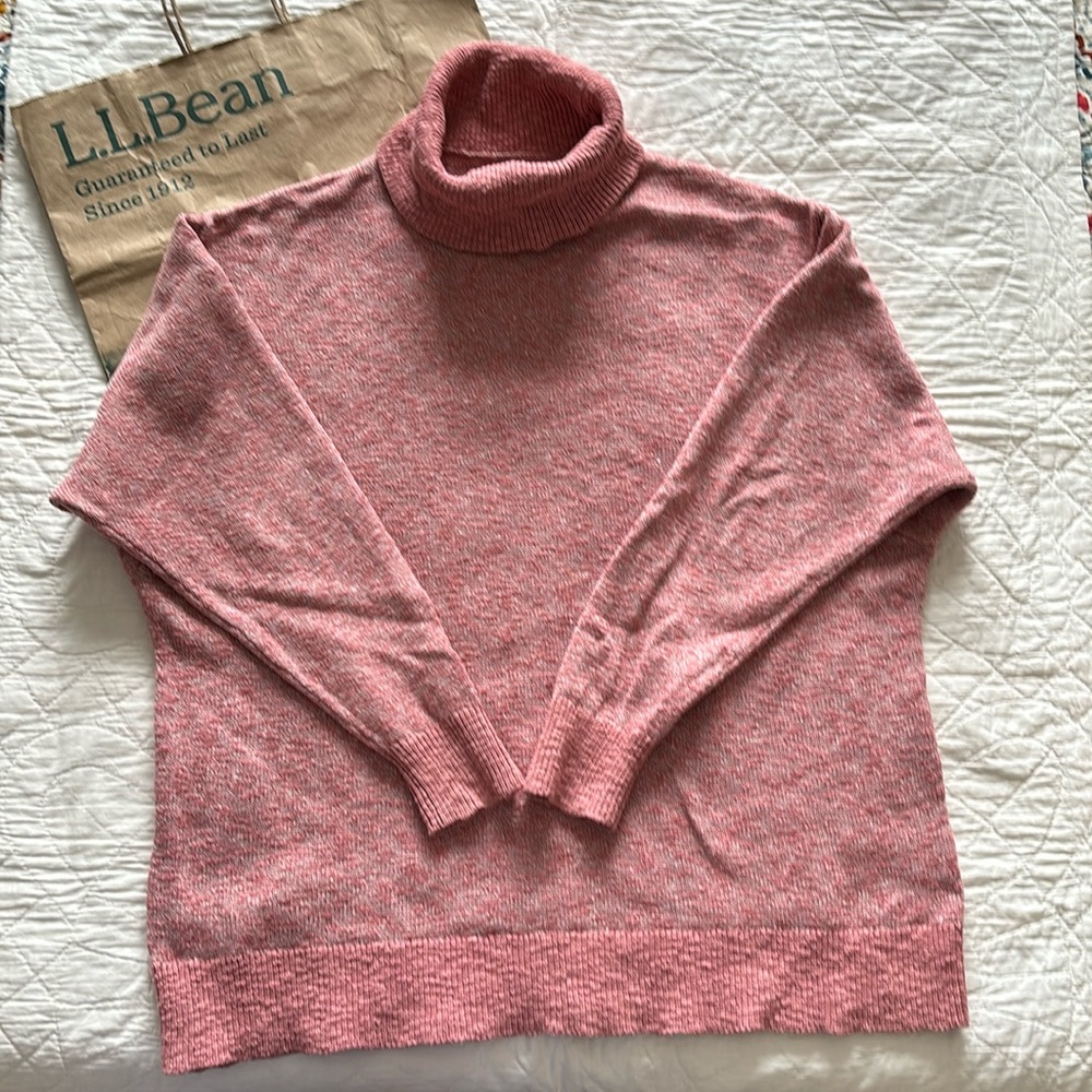 LL Bean Turtleneck Sweater